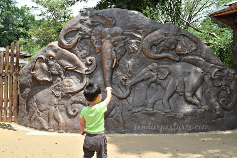 Negombo: Kandy and Pinnawala Elephant Orphanage Day Tour - Key Points to Know Before You Go