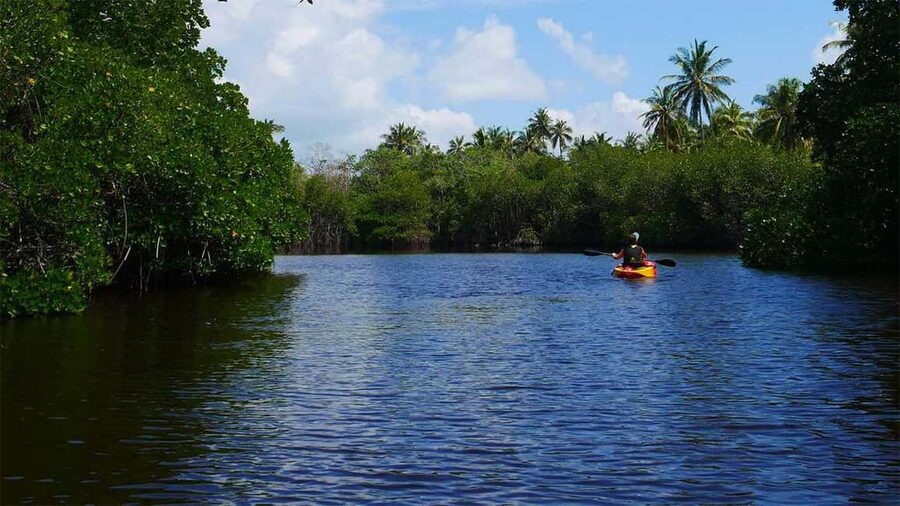 Negombo: Kayaking in the Lagoon - Key things I’d circle on your plan