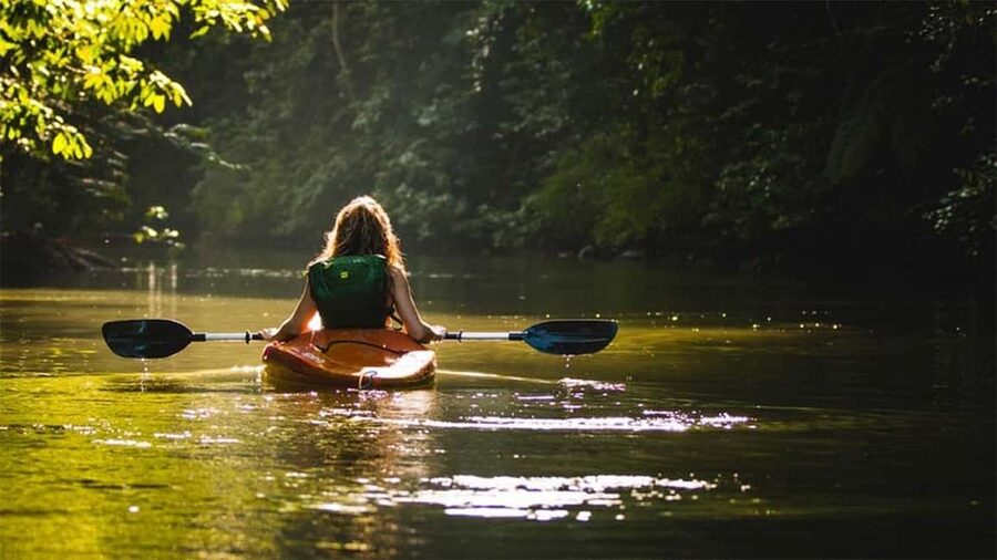 Negombo: Kayaking in the Lagoon - Negombo Lagoon, Mangroves, and Fishing Nets