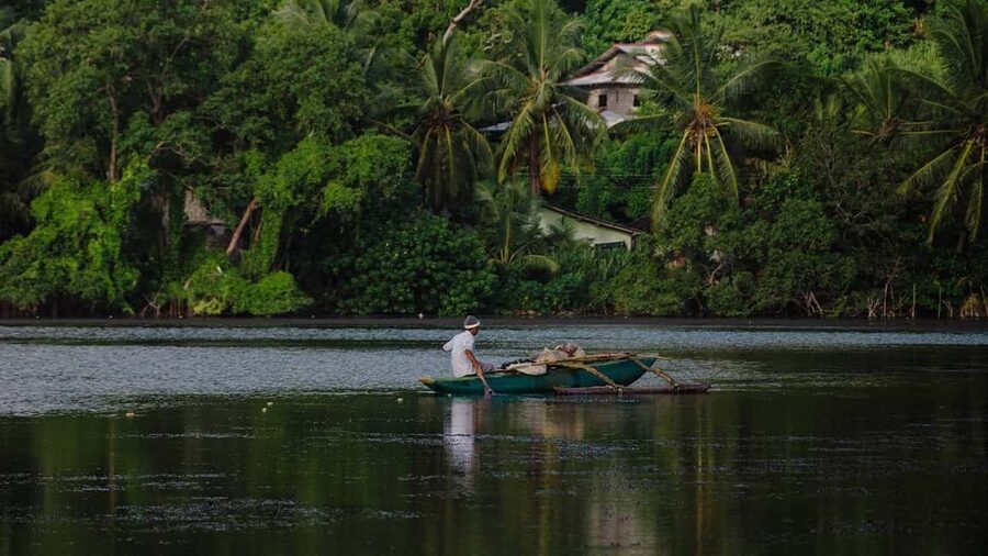Negombo: Kayaking in the Lagoon - Birdlife on the Water: Herons, Kingfishers, Cormorants