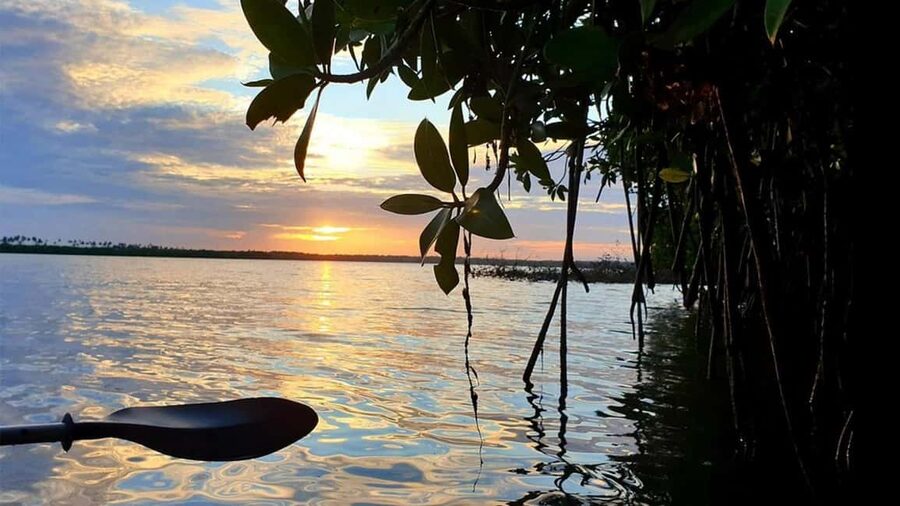 Negombo: Kayaking in the Lagoon - From Captain’s Landing to Winding Waterways: The 2-hour Flow