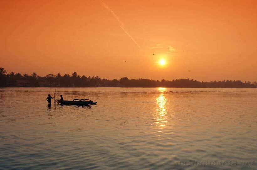 Negombo Lagoon (Mangrove ) Boat Excursion - Key highlights worth making time for