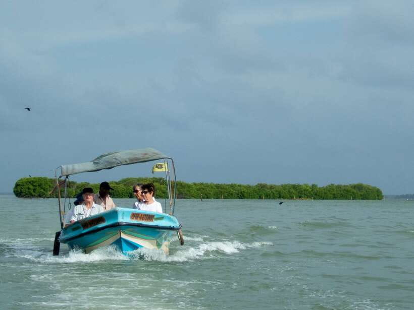 Negombo Lagoon (Mangrove ) Boat Excursion - Getting from Negombo to the Negombo Canal, and why late morning works