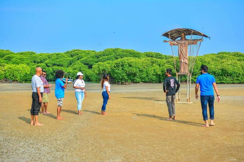 Negombo Lagoon (Mangrove ) Boat Excursion - Mangrove boat ride through Negombo Lagoon: nets, birds, and the sand-flat gull chance