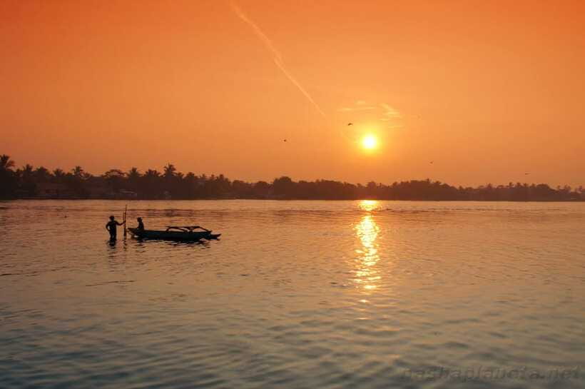 Negombo Lagoon (Mangrove ) Boat Excursion - Seafood lunch and refreshments, so you don’t burn your day out