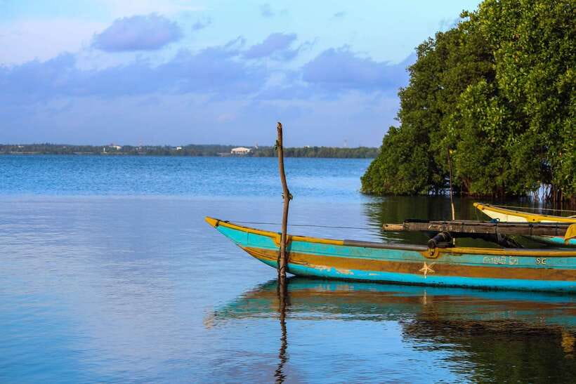 Negombo Lagoon (Mangrove ) Boat Excursion - Should you book the Negombo Lagoon mangrove boat excursion?