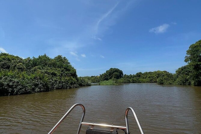 Negombo Lagoon & Muthurjawela Bird Watching Boat Tour - Key things to know before you go