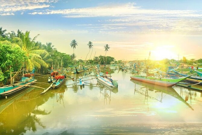Negombo Lagoon & Muthurjawela Bird Watching Boat Tour - Negombo Lagoon stop: 30 minutes of mangroves and close-up water life