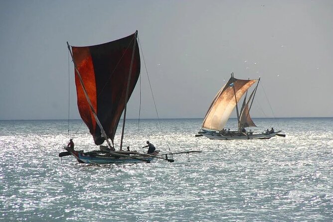 Negombo Lagoon & Muthurjawela Bird Watching Boat Tour - Who this private 2-hour wetland ride is best for