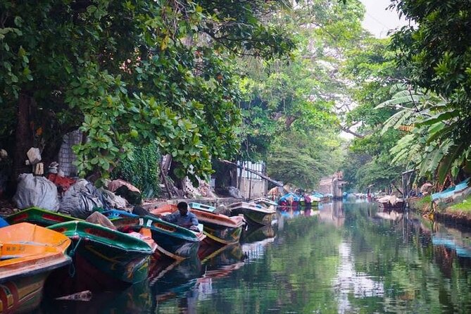 Negombo Lagoon & Muthurjawela Bird Watching Boat Tour - Should you book this Negombo Lagoon and Muthurajawela bird boat tour?