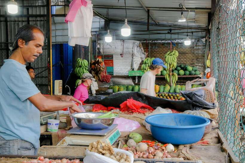 Negombo: Private Half-Day Tuk-Tuk Tour with Hotel Transfers - Negombo Dry Fish and the Public Fish Market Reality Check