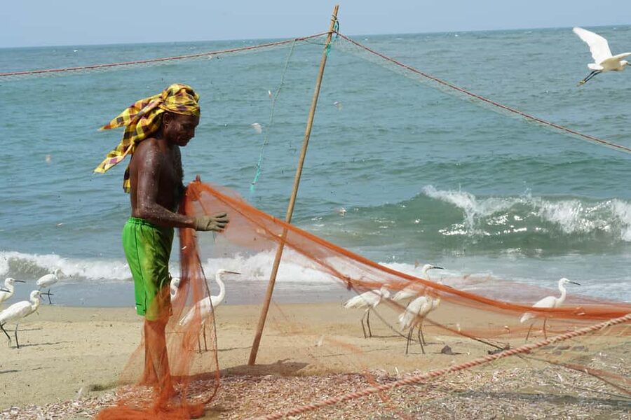 Negombo Private Tour: Market, Temples & Canal - Negombo in half a day, private, air conditioned, and practical