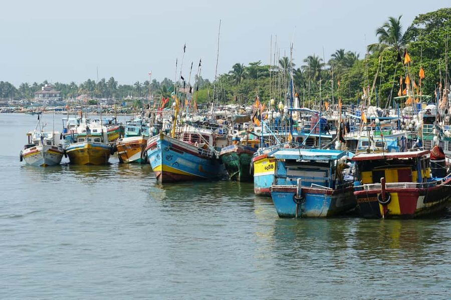 Negombo Private Tour: Market, Temples & Canal - Fish market and dry fish work areas, what to look for and how to enjoy it