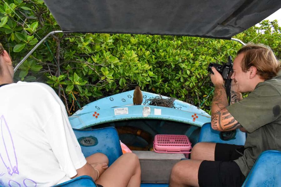 Negombo: Sunset lagoon boat tour with hotel transfers - From your Negombo hotel to the Dutch Canal bridge