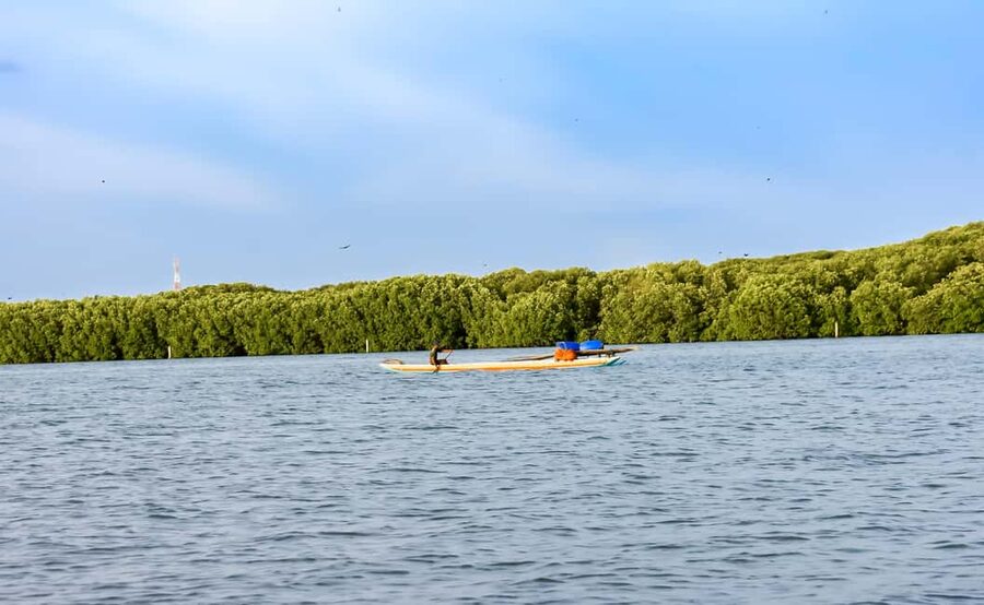 Negombo: Sunset lagoon boat tour with hotel transfers - What to wear and bring for the lagoon walk