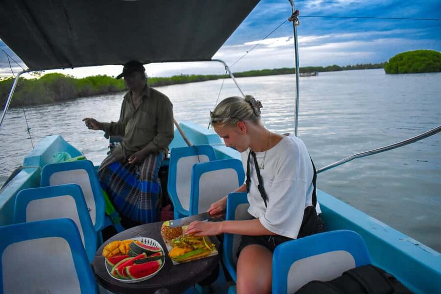 Negombo: Sunset lagoon boat tour with hotel transfers - Monkey Island and toque macaques: close-up fun with real rules