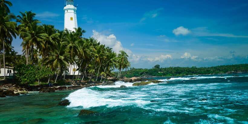Negombo: Turtle hatchery, River safari, moon stone & Galle - Key things that make this tour worth your time