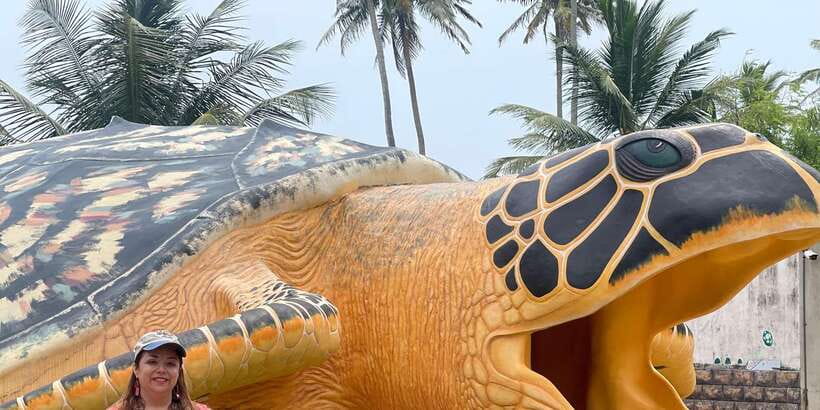Negombo: Turtle hatchery, River safari, moon stone & Galle - Kosgoda sea turtle conservation: conservation work you can actually understand
