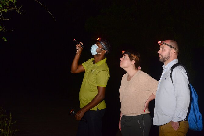 Night Hike to see Elusive & Rare Loris in Sigiriya - The Loris Search: What Your Guide Is Trained to Find
