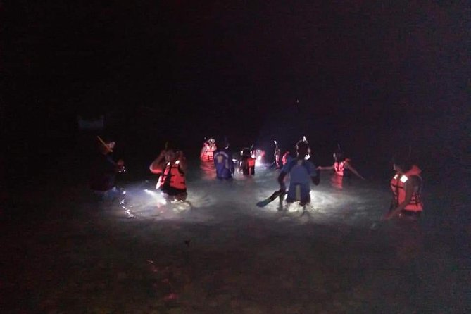 Night Snorkeling Experience in Mirissa - Key highlights I think you will care about