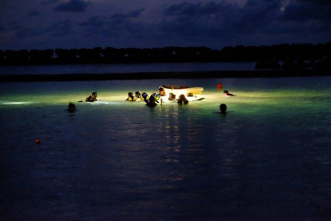 Night Snorkeling Experience in Mirissa - Why Mirissa at 7:30 pm Makes Night Snorkeling Worth It