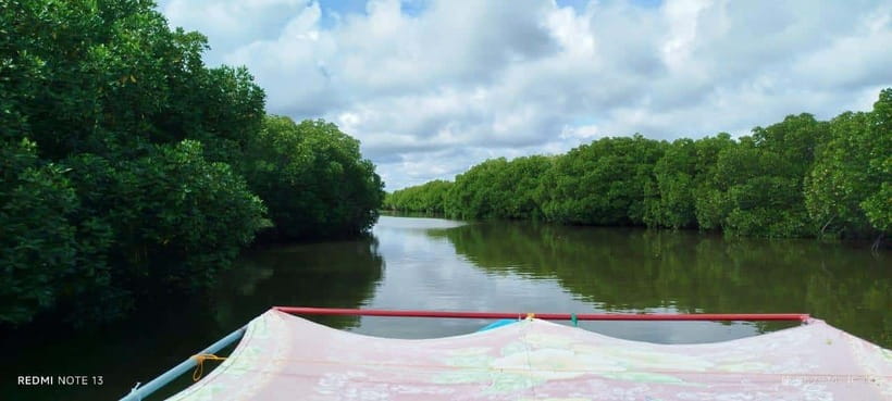 Nilaveli: Lagoon Boat Safari with Mangrove Exploration - Key things you’ll notice on the water