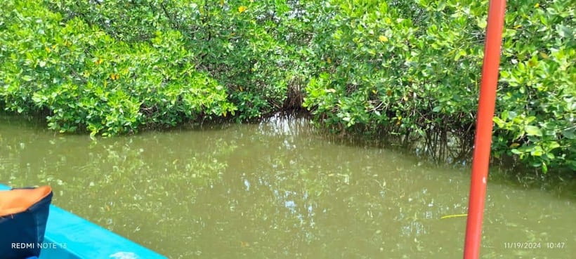 Nilaveli: Lagoon Boat Safari with Mangrove Exploration - Evening Trip: Sunset Views and Softer Atmosphere