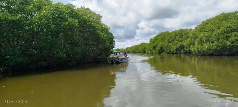 Nilaveli: Lagoon Boat Safari with Mangrove Exploration - Boat Ride Basics at Pigeon Island Tours, 2 Hours, Small Group