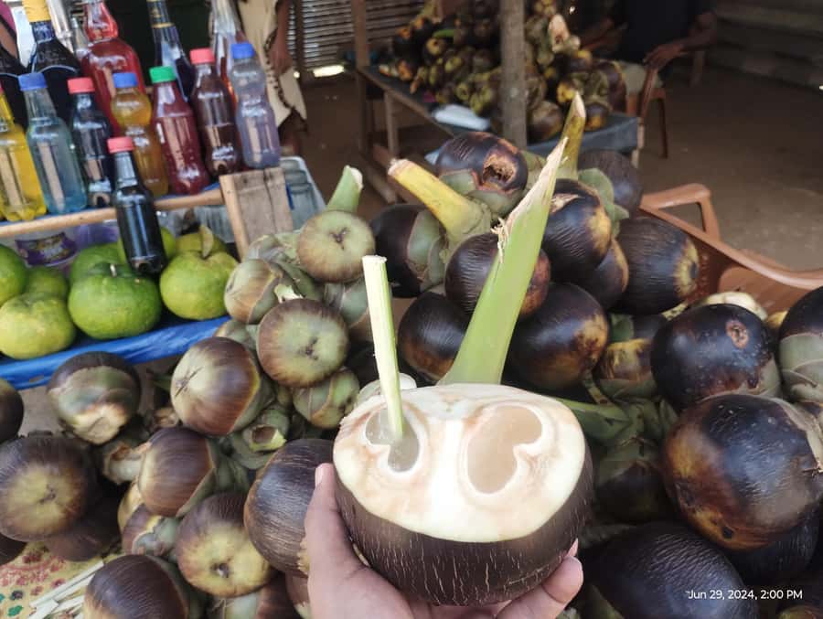Nilaveli: Trinco City tour by Tuk Tuk - Uppuveli beach hour: use it to reset, not race