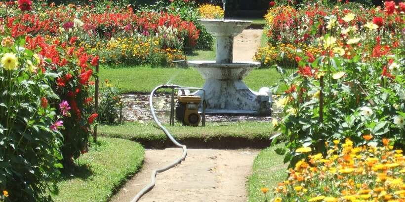 Nuwara Eliya: All-Inclusive Private Sightseeing Day Tour - Private Chauffeur Day Around Nuwara Eliya: What Makes It Work