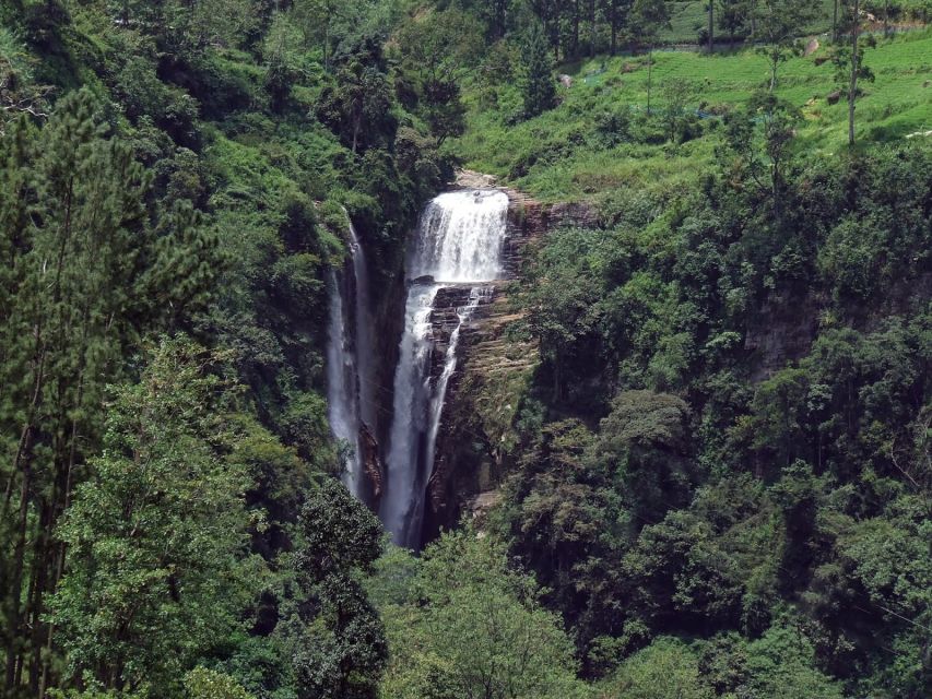 Nuwara Eliya: All-Inclusive Private Sightseeing Day Tour - Pedro Tea Factory and Tea Plucking: Where Ceylon Tea Gets Real
