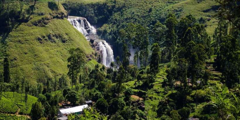 Nuwara Eliya: All-Inclusive Private Sightseeing Day Tour - What to Bring, What to Wear, and How to Avoid Temple Problems