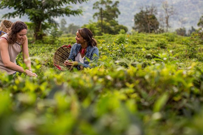Nuwara Eliya from Kandy by Train - Price and value: is $76 a good deal?