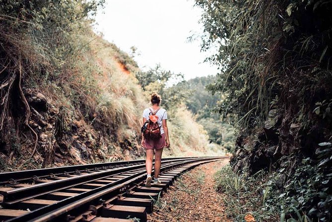 Nuwara Eliya from Kandy by Train - Who this Nuwara Eliya day trip fits best