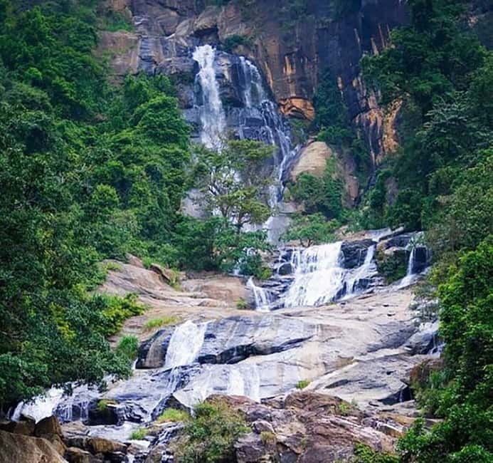 Nuwara Eliya Full day: 5Waterfalls, 2Tea Test & pick by TUK - Tea tasting as an actual skill, not a souvenir moment