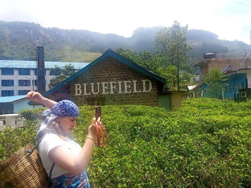 Nuwara Eliya Full day: 5Waterfalls, 2Tea Test & pick by TUK - The December 2025 context some drivers include