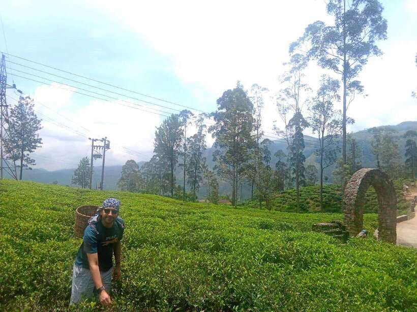 Nuwara Eliya Full day: 5Waterfalls, 2Tea Test & pick by TUK - Timing and comfort: what an 8-hour Tuk Tuk day feels like