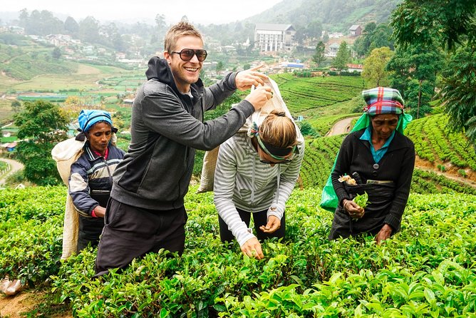 Nuwara Eliya Highlands from Kandy - Key Things You’ll Notice on This Kandy to Highlands Day Trip