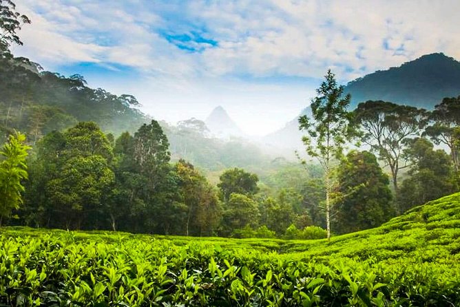 Nuwara Eliya Highlands from Kandy - Ramboda Falls: The 109m Drop You’ll Want to Stop For