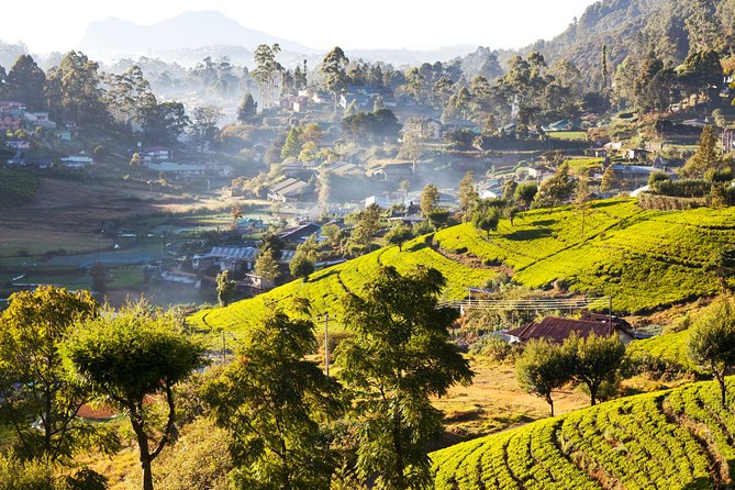 Nuwara Eliya Highlands from Kandy - Hakgala Botanical Gardens: A Slower Pace in the Highlands
