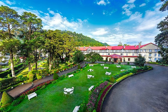 Nuwara Eliya Highlands from Kandy - Tea Estates and Bluefield Tea Gardens: Seeing Production, Not Just Buying It