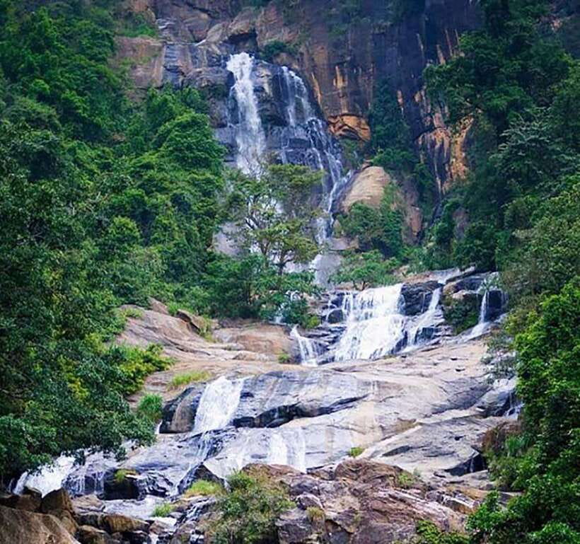 Nuwara Eliya: Tea Factory and Pickle Waterfalls Tuk Tuk Tour - Key highlights you will care about