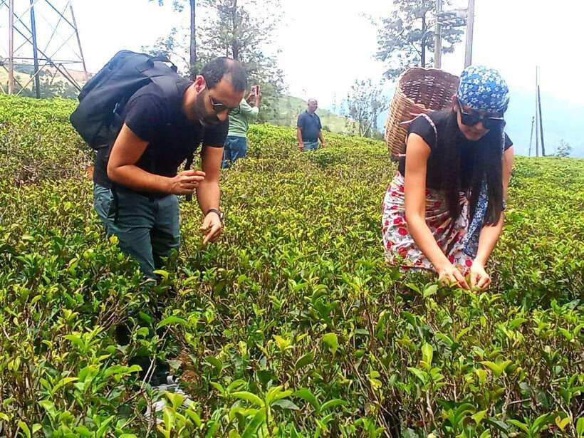 Nuwara Eliya: Tea Factory and Pickle Waterfalls Tuk Tuk Tour - Puna Ella Falls in Ramboda: smaller, quieter, and cold in a good way