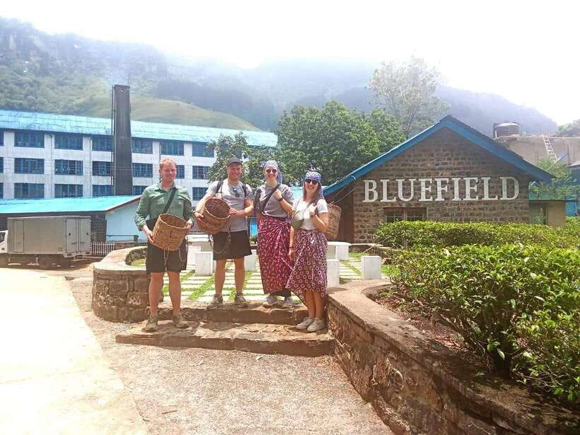 Nuwara Eliya: Tea Factory and Pickle Waterfalls Tuk Tuk Tour - Price and value: why $33 can work here