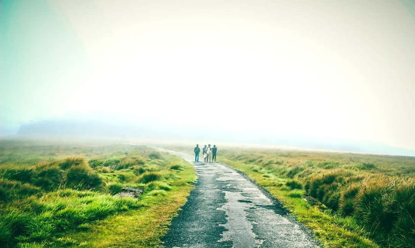 Nuwara Eliya to Horton Plains, Strawberry& Ambewela Farm TUK - Horton Plains National Park: grasslands, cloud-forest mood, and wildlife chances