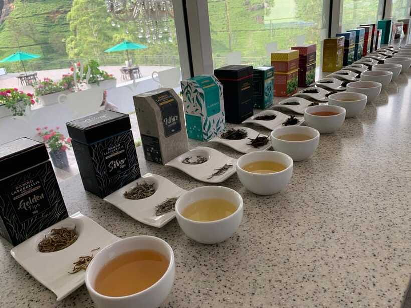 Nuwara Eliya Tuk-Tuk Tour Tea Picking,Tasting &Ramboda Falls - Who This Half-Day Nuwara Eliya Circuit Is Best For