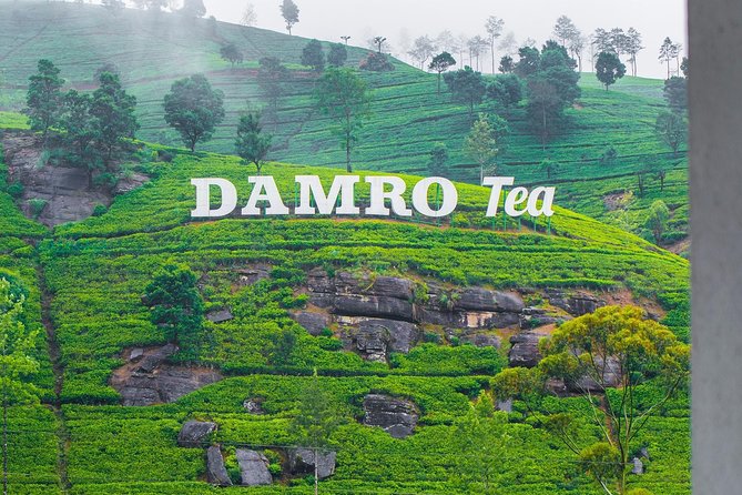 NuwaraEliya Tea Factory,Plantation & Water Falls Hike Tour by Car - Quick Hits Before You Go