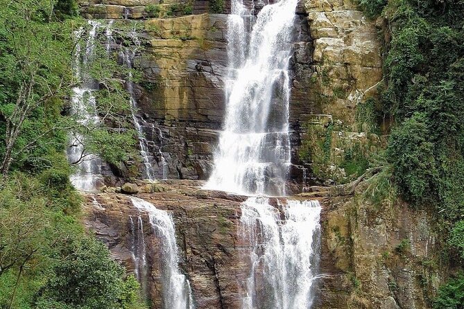 NuwaraEliya Tea Factory,Plantation & Water Falls Hike Tour by Car - Tea Factory Stop: What You’ll Learn Before You Look Around