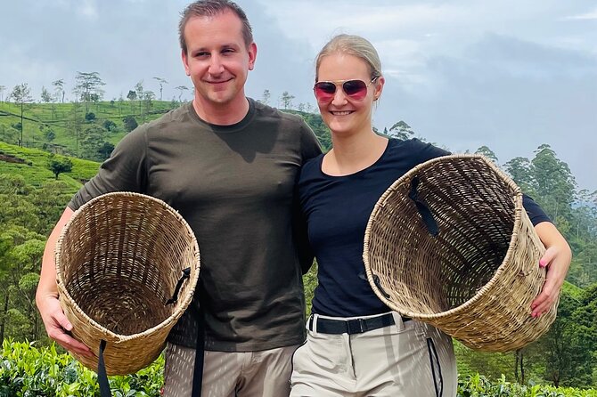 NuwaraEliya Tea Factory,Plantation & Water Falls Hike Tour by Car - Who This Tour Is Best For