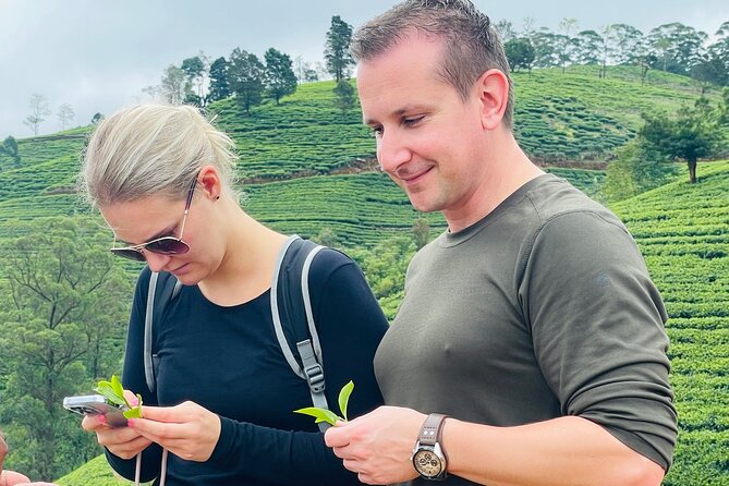 NuwaraEliya Tea Factory,Plantation & Water Falls Hike Tour by Car - Practical Tips for a Smoother Day
